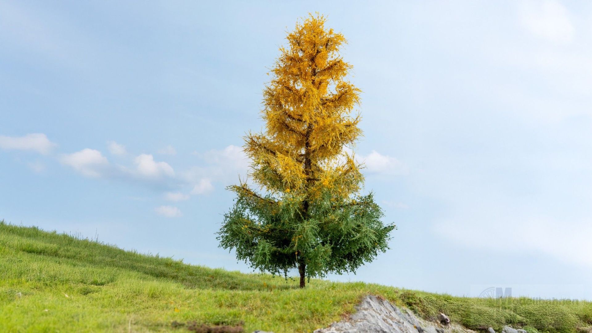 Noch 20168 - Lärche herbstlich 1/0/H0/TT/N/Z