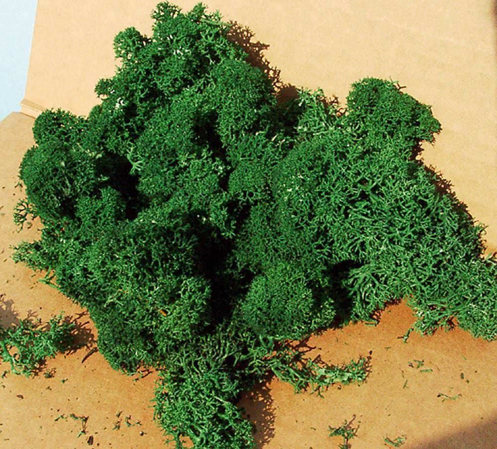 Heki 3220 - Islandmoos 75 g dunkelgrün H0/TT/N/Z