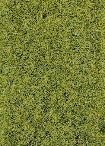 Heki 3376 - Grasfaser XL 10 mm 50 g Frühling H0/TT/N/Z
