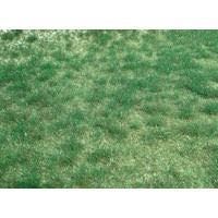 Heki 1843 - Wildgras realistic 45 x 17 cm Moorboden H0/TT/N/Z