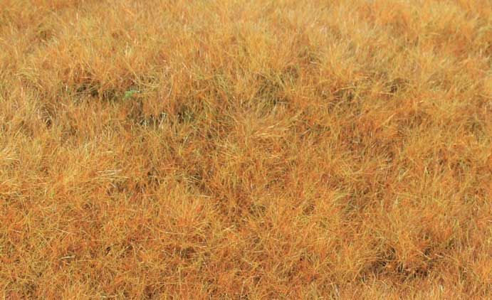 Heki 33544 - Grasfaser Willdgras Frühherbst, 75 g, 5-6 mm