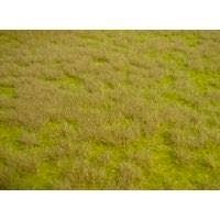 Heki 1840 - Wildgras realistic 45 x 17 cm Savanne H0/TT/N/Z