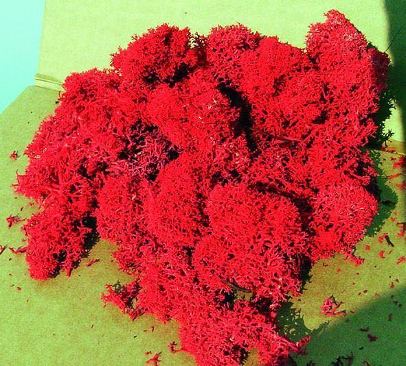 Heki 3213 - Islandmoos 30 g rot H0/TT/N/Z