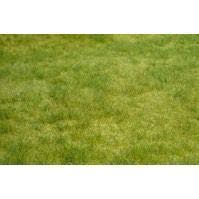 Heki 1841 - Wildgras realistic 45 x 17 cm Frühlingsgras H0/TT/N/Z