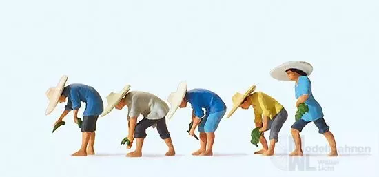 Preiser 10572 - Auf dem Reisfeld (1) H0 1:87