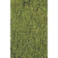 Heki 1574 - Wildgras decovlies 5 - 6 mm 28 x 14 cm Savanne H0/TT/N/Z
