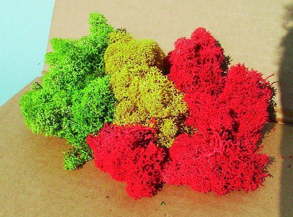 Heki 3214 - Islandmoos 30 g sortiert H0/TT/N/Z
