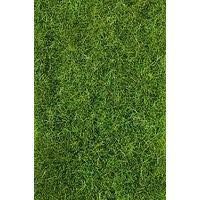 Heki 1857 - Wildgras decovlies 5 - 6 mm 40 x 40 cm dunkelgrün H0/TT/N/Z
