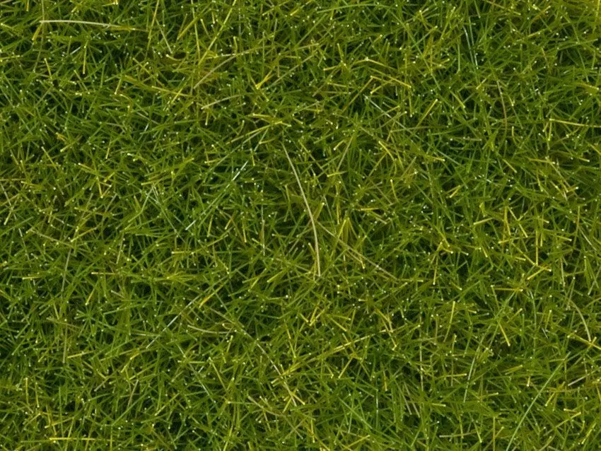 Noch 07112 - Wildgras XL hellgrün, 12 mm, 40 g G/1/0/H0/H0m/H0e/TT/N/Z