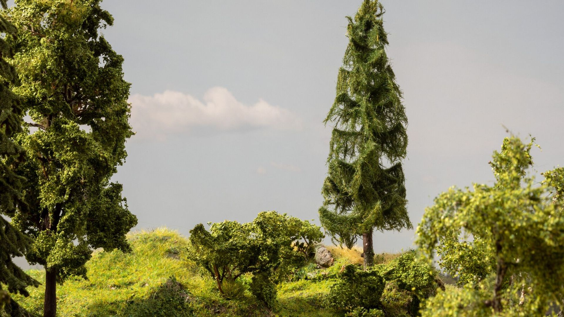 Noch 21775 - micro-motion Fallender Baum Tanne 17 cm hoch, 6 cm breit H0 1:87/TT 1:120