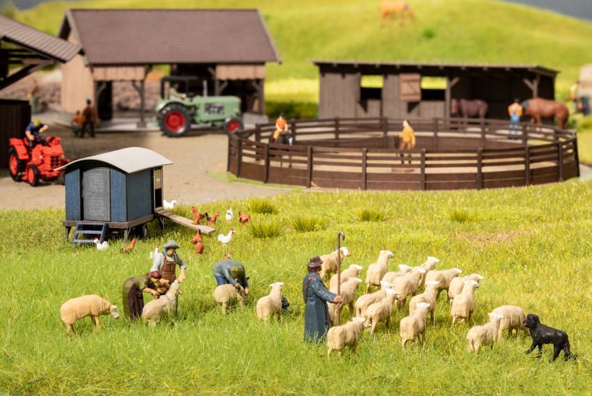Noch 15751 - Schafe scheren H0 1:87 Noch 15751 - Schafe scheren H0 1:87