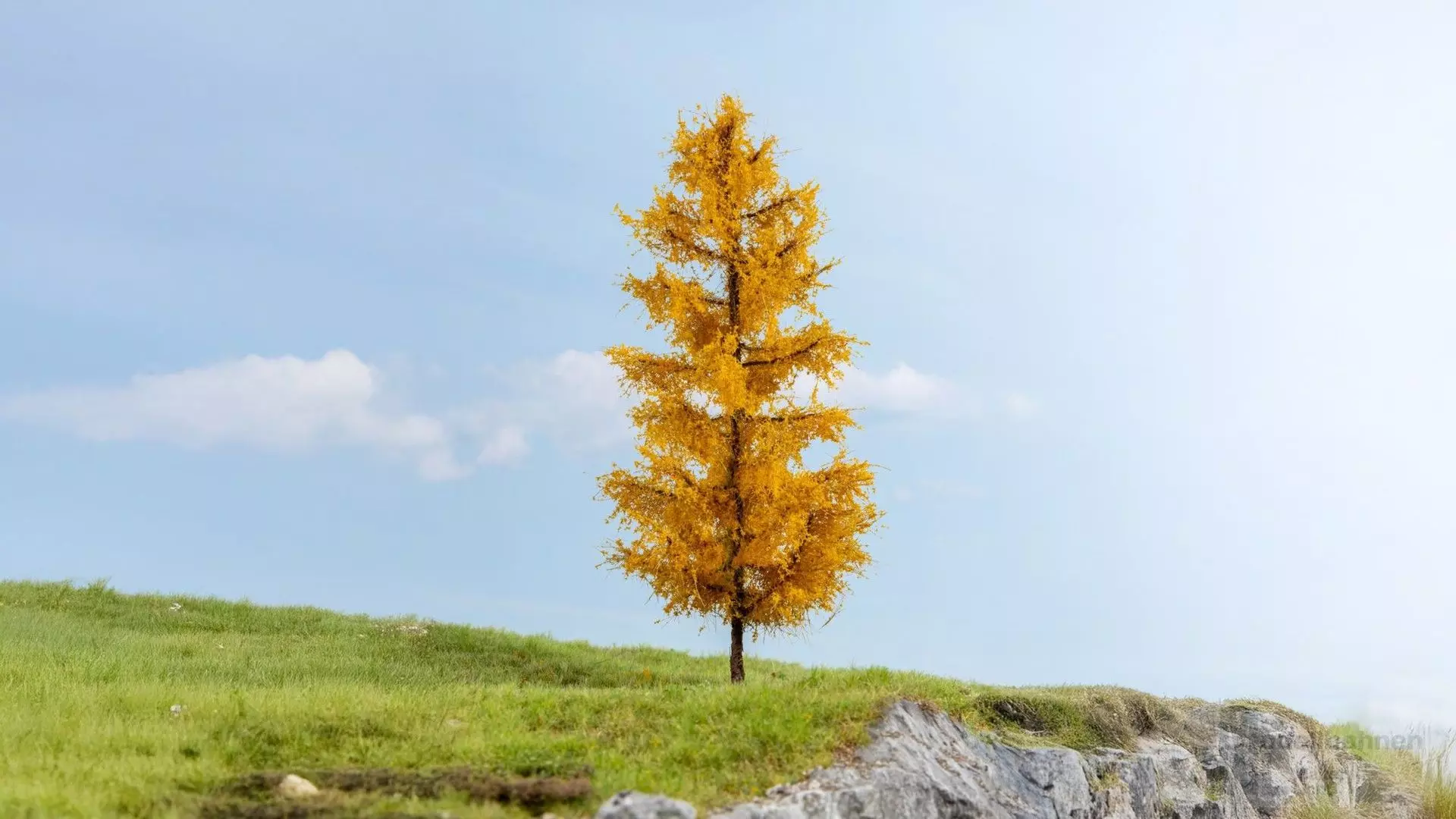 Noch 20167 - Lärche herbstlich 1/0/H0/TT/N/Z