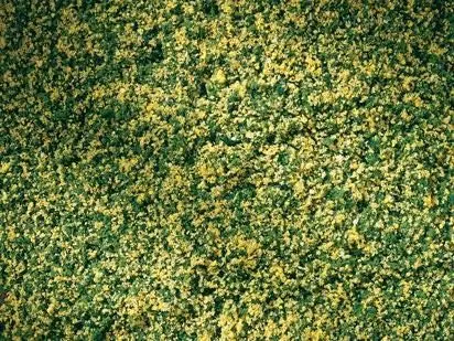 Auhagen 76668 - Rollrasen mit Maiblumen H0 1:87