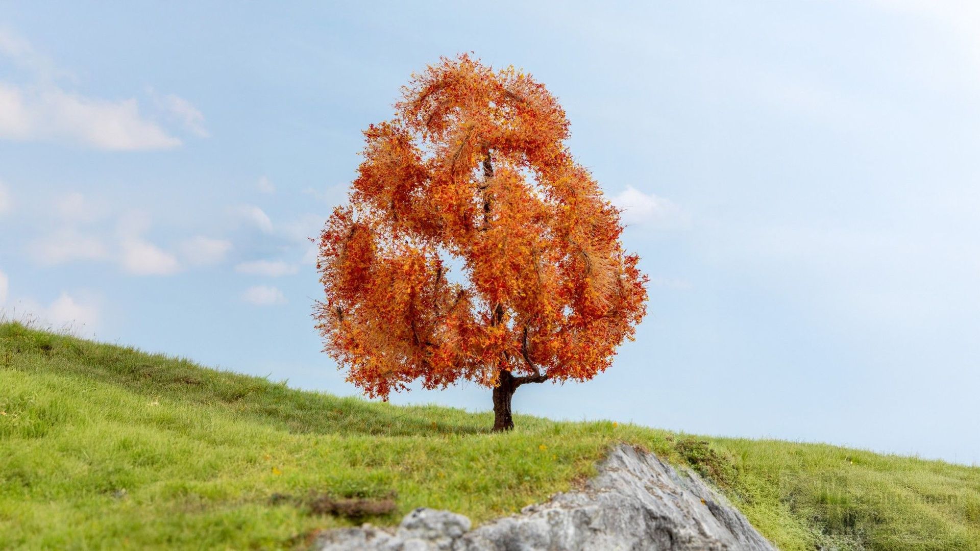 Noch 20155 - Ahorn herbstlich 1/0/H0/TT/N