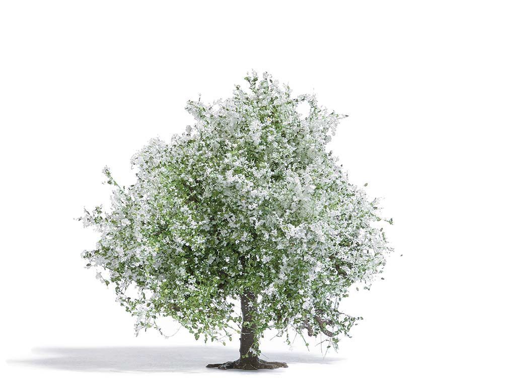 Busch 3651 - Apfelbaum 75 blühend H0 1:87