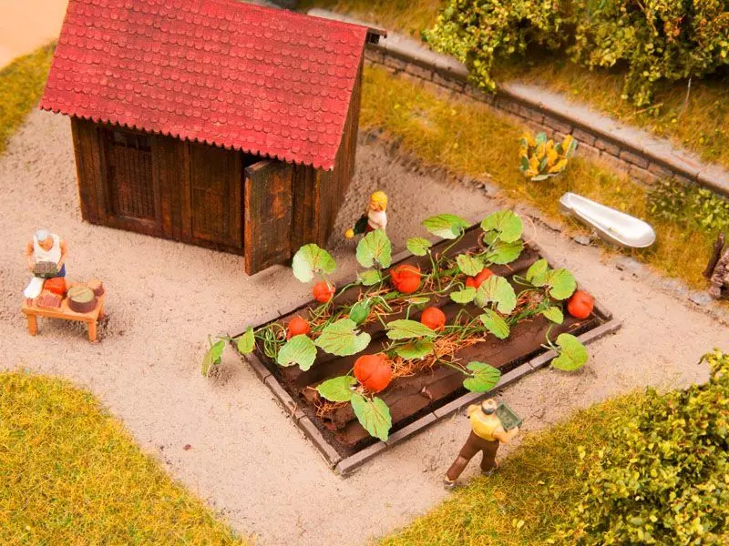 Noch 13219 - Kürbis H0 1:87