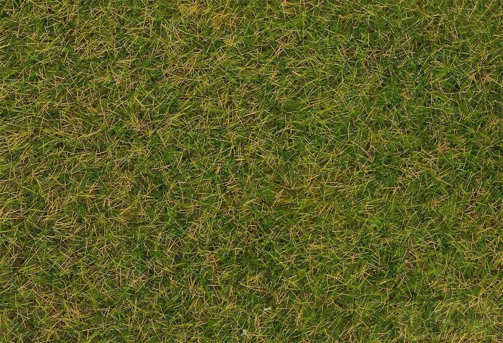 Faller 170215 - Grasfasern Frühsommerwiese 4 mm, 20 g H0 1:87