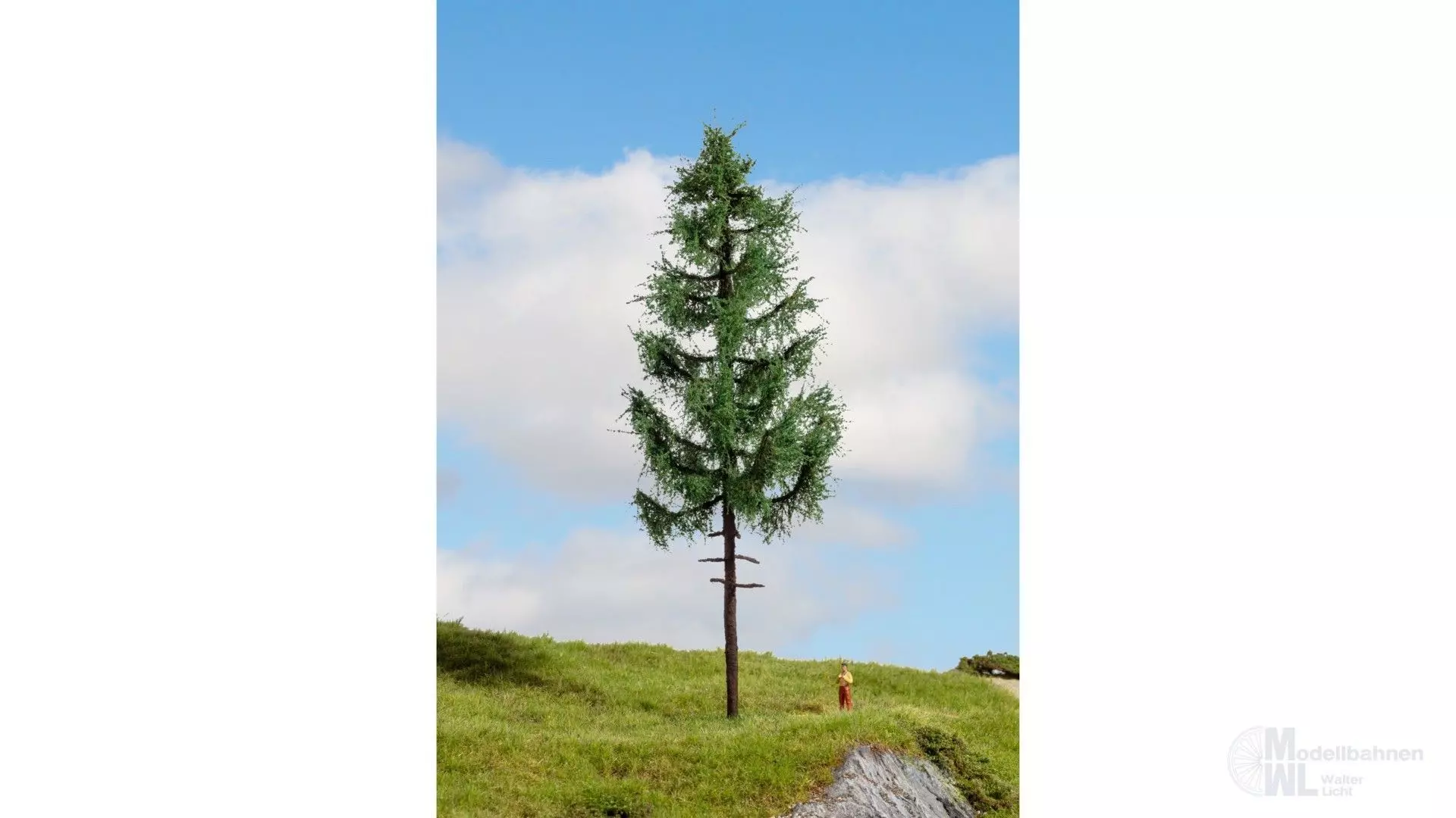 Noch 20197 - Hochstammfichte G/1/0/H0/H0m/H0e/TT/N/Z