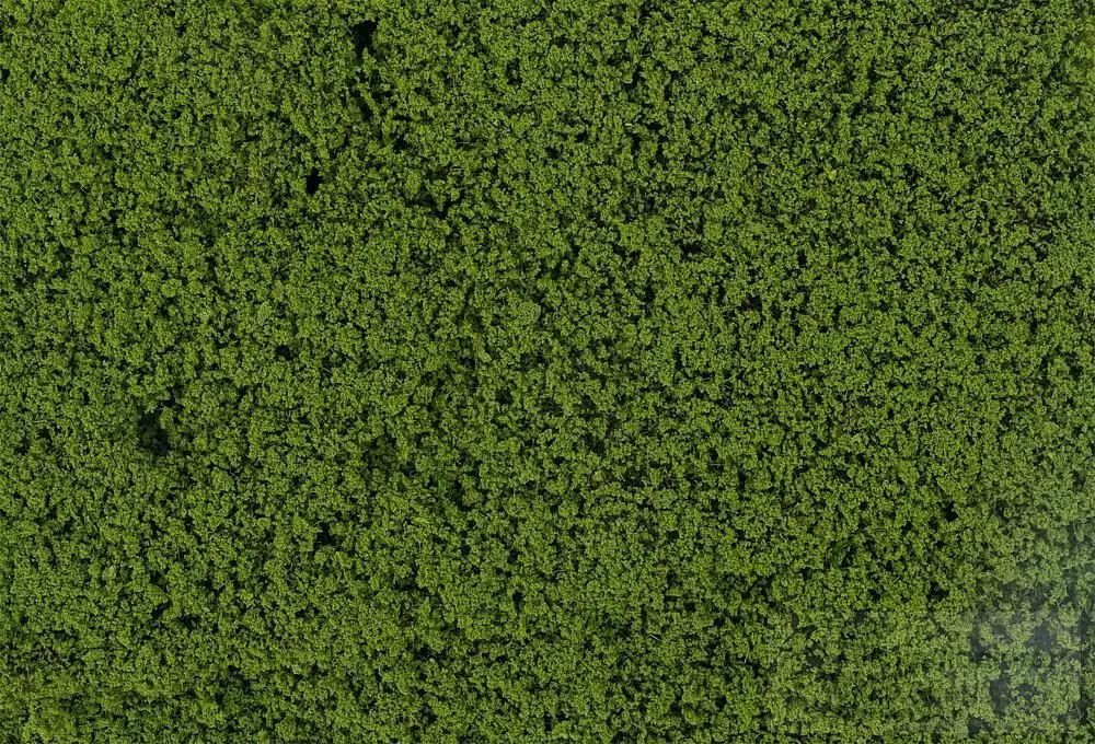 Faller 181622 - Blätterfoliage grün H0 1:87 / TT 1:120 / N 1:160