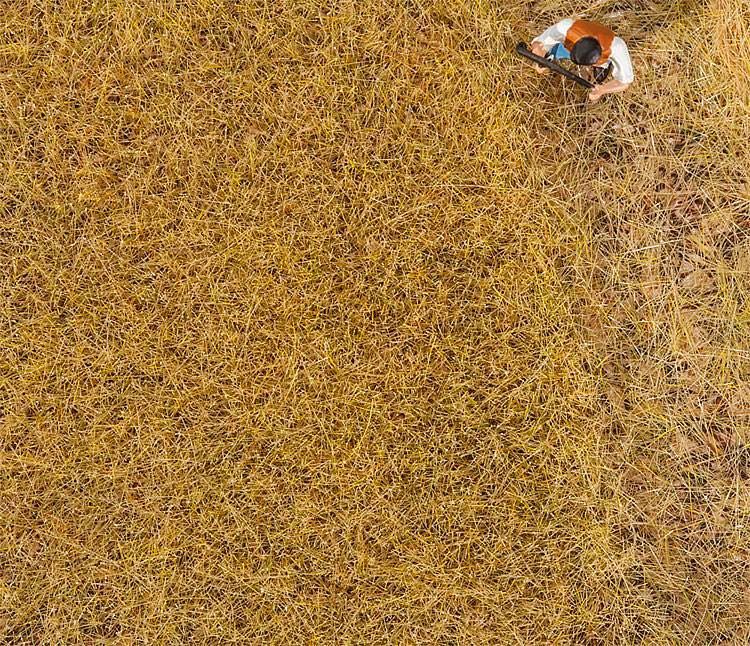 Faller 170775 - PREMIUM Streufasern Heu 30g H0 1:87