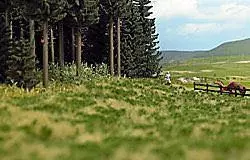 Busch 1308 - Waldrand, 3-farbig H0 1:87