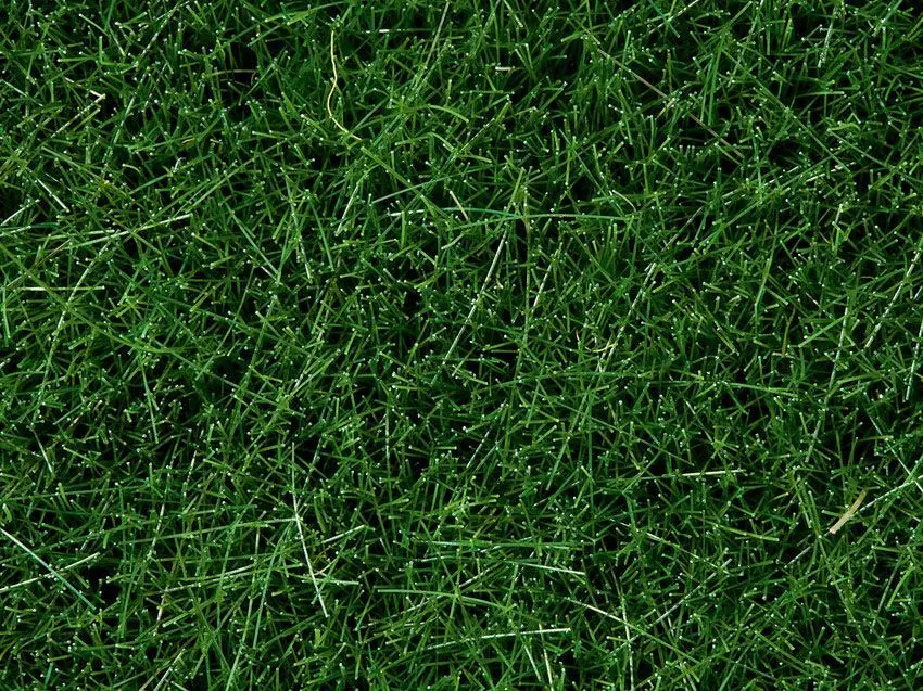 Noch 07106 - Wildgras dunkelgrün, 6 mm, 50 g G/1/0/H0/H0m/H0e/TT/N/Z