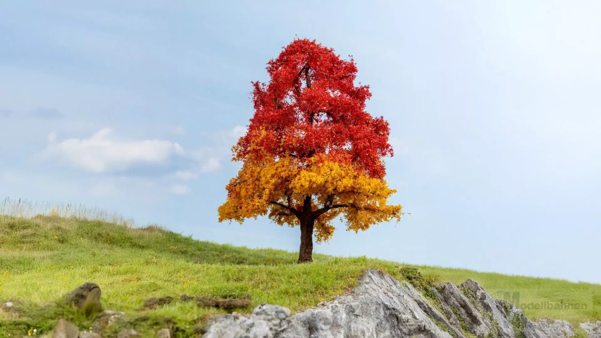 Noch 20114 - Eiche herbstlich 1/0/H0/TT/N