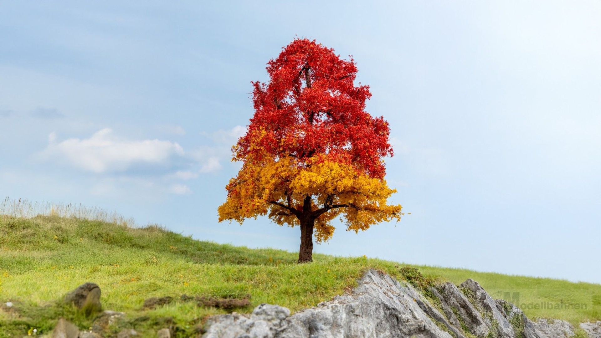 Noch 20114 - Eiche herbstlich 1/0/H0/TT/N