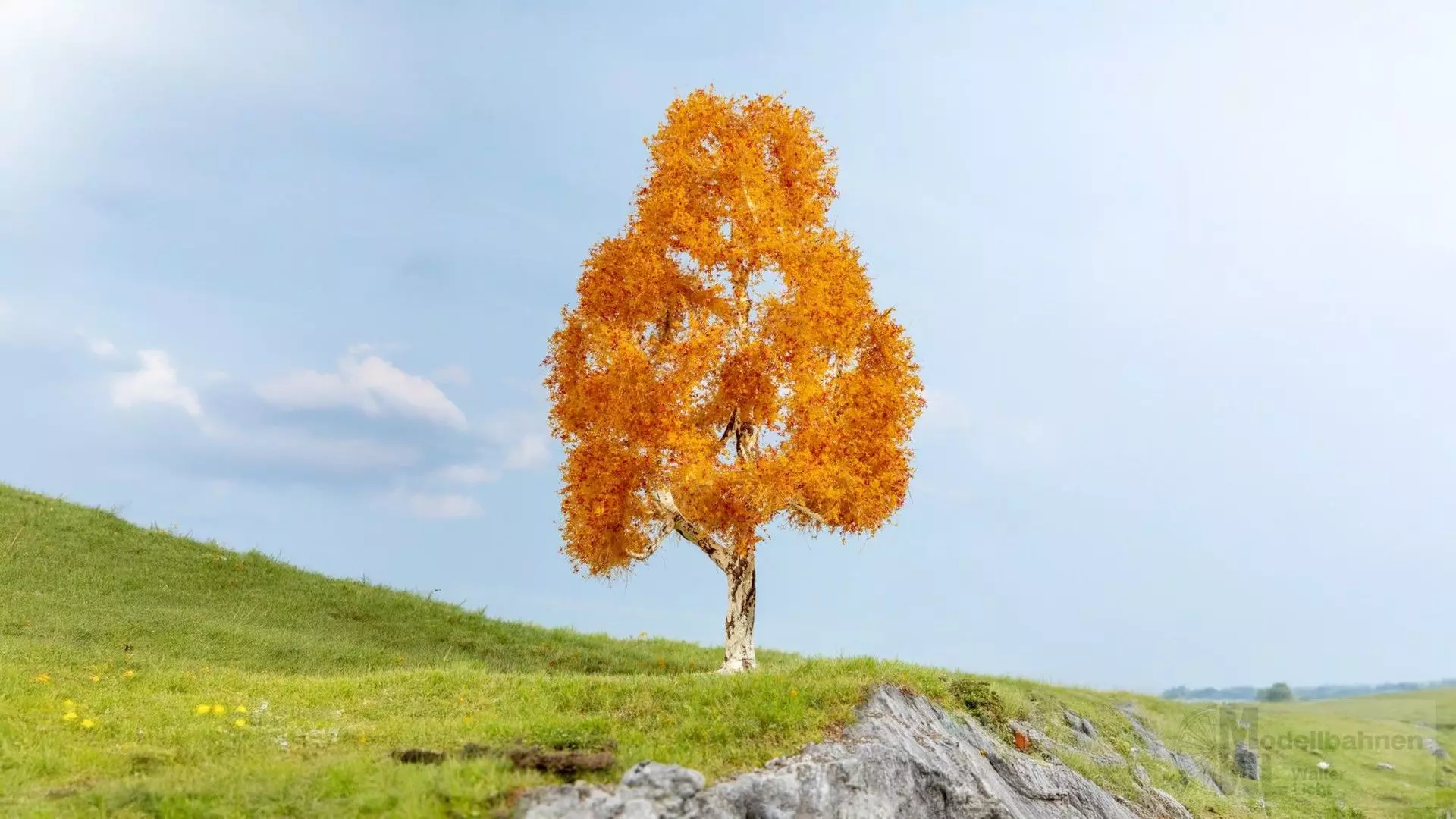 Noch 20129 - Birke herbstlich 1/0/H0