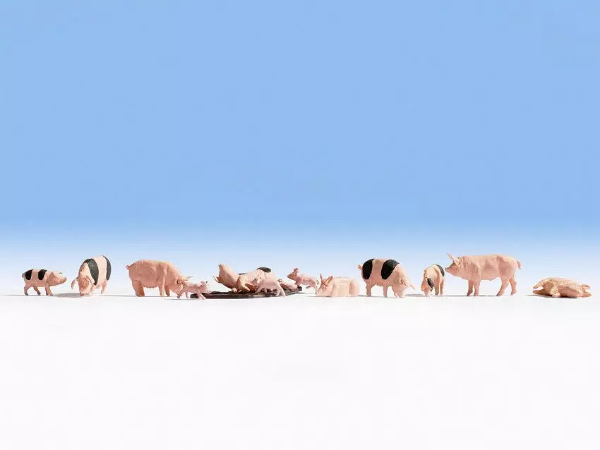 Noch 36712 - Schweine N 1:160