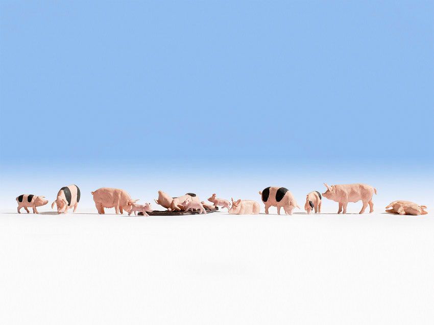 Noch 36712 - Schweine N 1:160