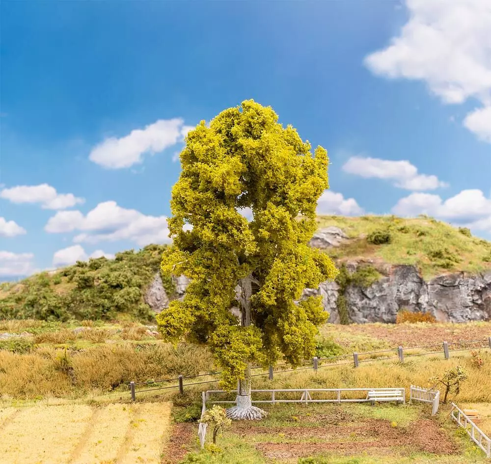 Faller 181571 - Birke H0 1:87