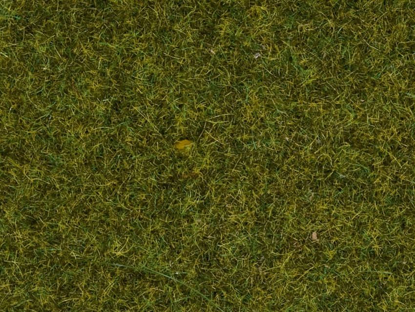 Noch 07117 - Wildgras Wiese 9 mm, 50 g 0/H0/TT Noch 07117 - Wildgras Wiese 9 mm, 50 g 0/H0/TT
