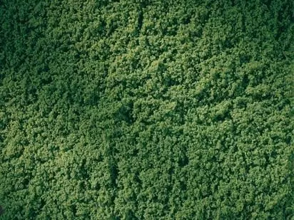 Auhagen 76669 - Rollrasen laubgrün H0 1:87