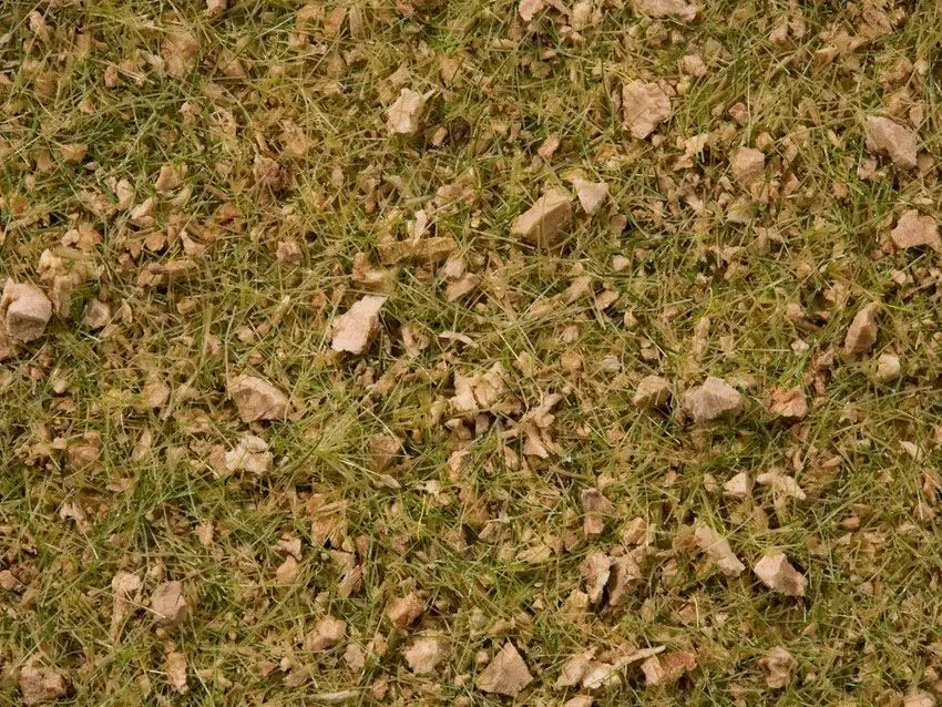 Noch 07075 - Master-Grasmischung Almwiese 2,5 bis 6 mm, 50 g G/0/H0/TT