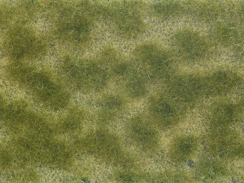 Noch 07253 - Bodendecker-Foliage grün/beige 12 x 18 cm G/1/0/H0/H0m/H0e/TT/N/Z Noch 07253 - Bodendecker-Foliage grün/beige 12 x 18 cm G/1/0/H0/H0m/H0e/TT/N/Z