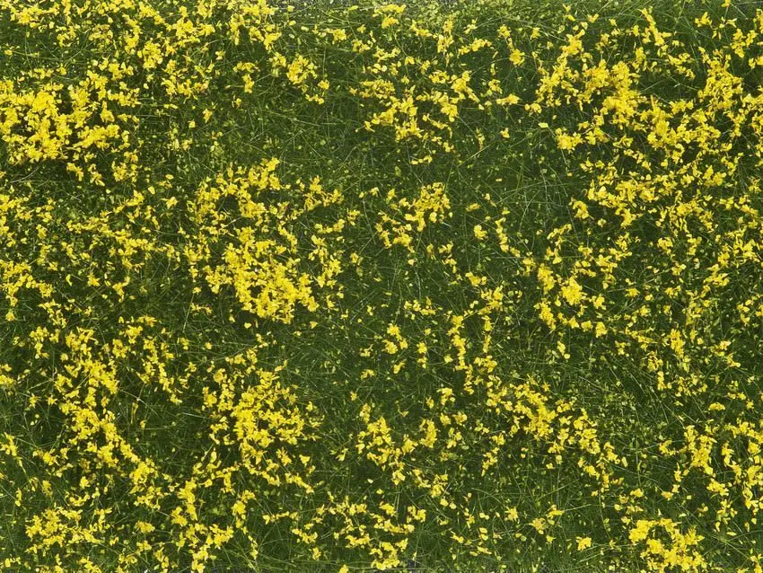 Noch 07255 - Bodendecker-Foliage Wiese gelb 12 x 18 cm G/1/0/H0/H0m/H0e/TT/N/Z