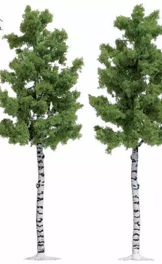 Busch 6796 - 2 Birken 165 mm H0 1:87