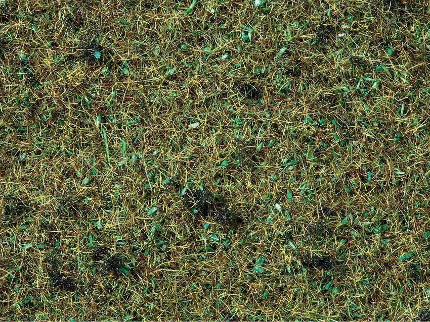 Noch 08350 - Streugras Waldboden 2,5 mm, 20 g G/1/0/H0/H0m/H0e/TT/N/Z Noch 08350 - Streugras Waldboden 2,5 mm, 20 g G/1/0/H0/H0m/H0e/TT/N/Z