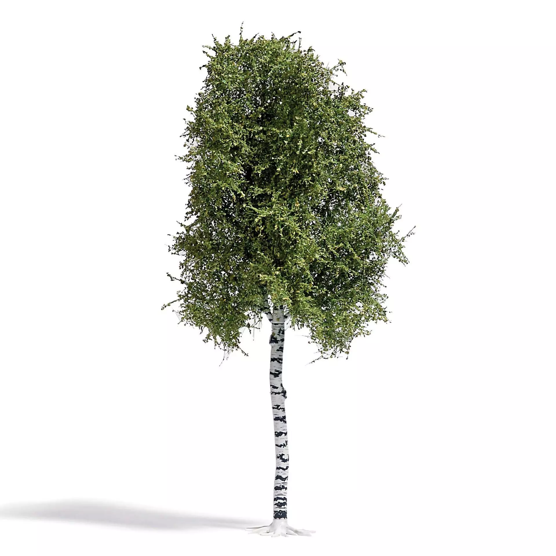 Busch 3782 - Birke 170 mm, Sommer H0 1:87