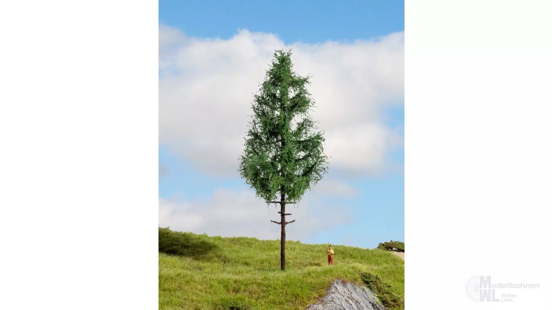 Noch 20196 - Hochstammfichte G/1/0/H0/H0m/H0e/TT/N/Z