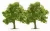 Busch 6649 - 2 Obstbäume 75 mm H0 1:87 / TT 1:120