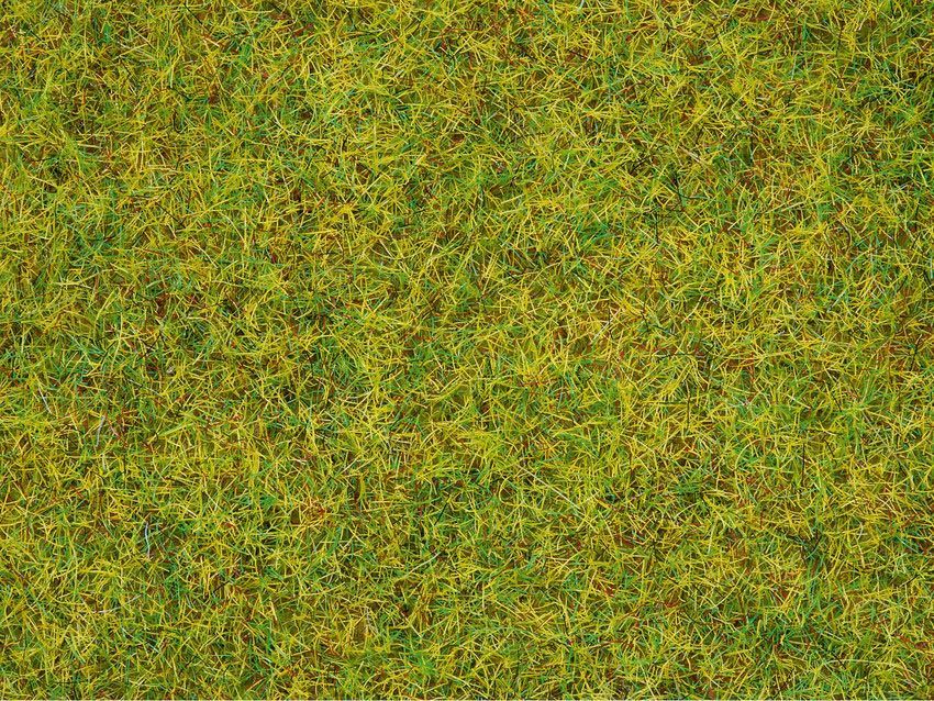 Noch 08151 - Streugras Sommerwiese 2,5 mm, 120 g G/1/0/H0/H0m/H0e/TT/N/Z Noch 08151 - Streugras Sommerwiese 2,5 mm, 120 g G/1/0/H0/H0m/H0e/TT/N/Z