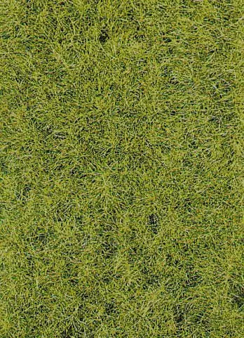Heki 3376 - Grasfaser XL 10 mm 50 g Frühling H0/TT/N/Z