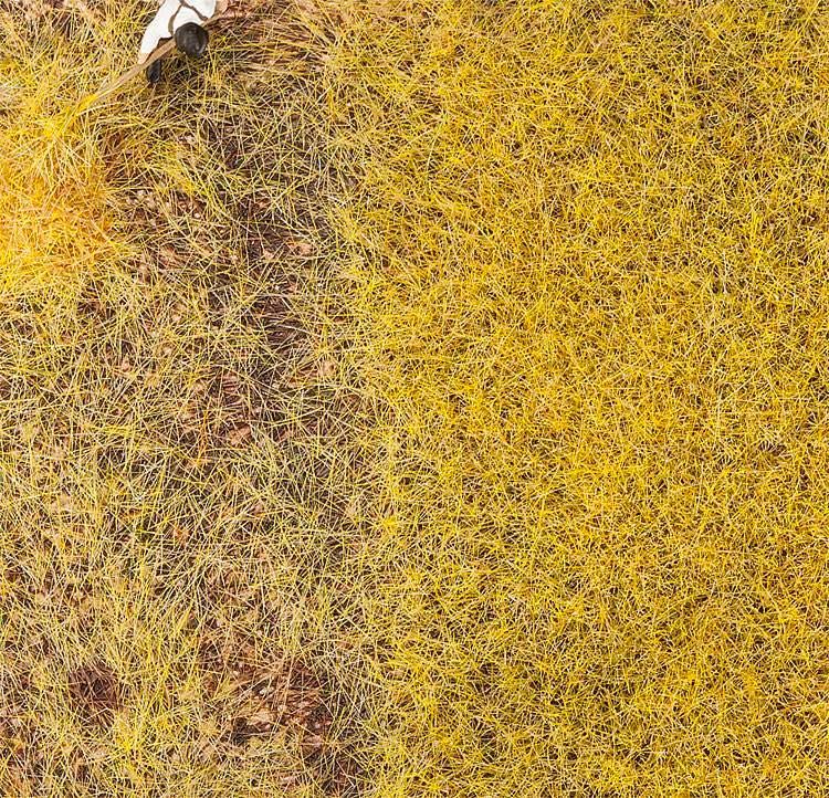 Faller 170776 - PREMIUM Streufasern Stroh 30g H0 1:87