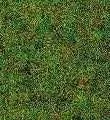 Busch 7116 - Grasflocken Großpack 100g  H0 1:87 / TT 1:120 / N 1:160 / Z 1:220
