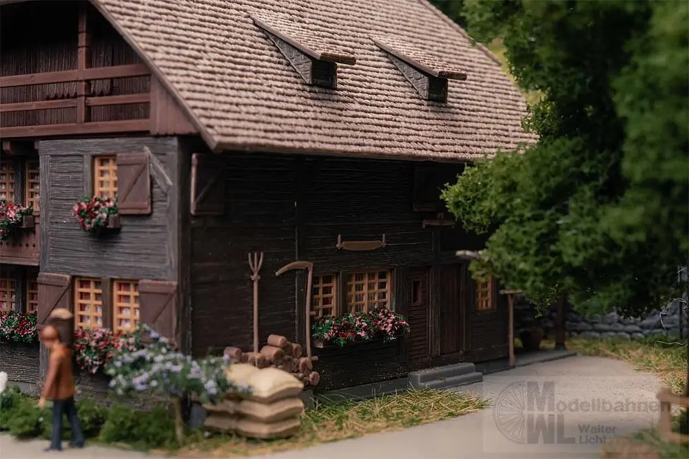 Faller 130012 - Jubiläumsmodell Uhrenmacherhaus mit Figur H0 1:87