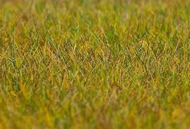 Faller 180484 - Premium Streufasern Wiese, 30g H0 1:87