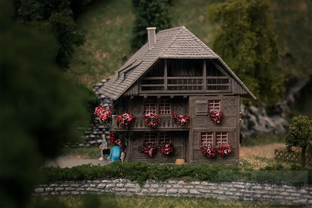 Faller 232011 - Jubiläumsmodell Uhrenmacherhäusle mit Figur N 1:160