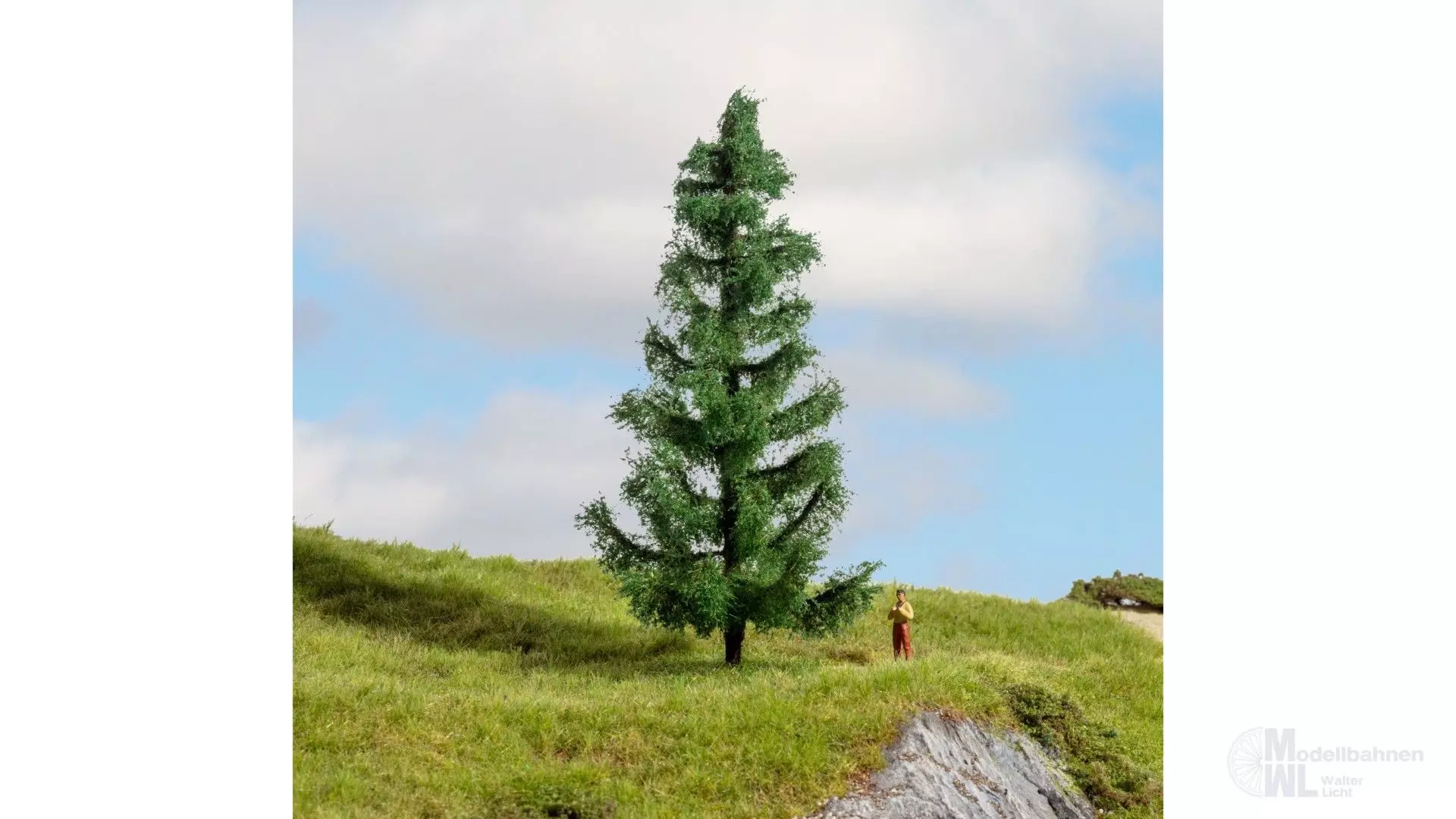 Noch 20193 - Fichte G/1/0/H0/H0m/H0e/TT/N/Z